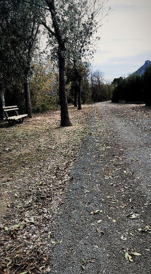 Apartamento En Puerta Valle Ricote Y Archena Διαμέρισμα Villanueva de Río Segura Εξωτερικό φωτογραφία