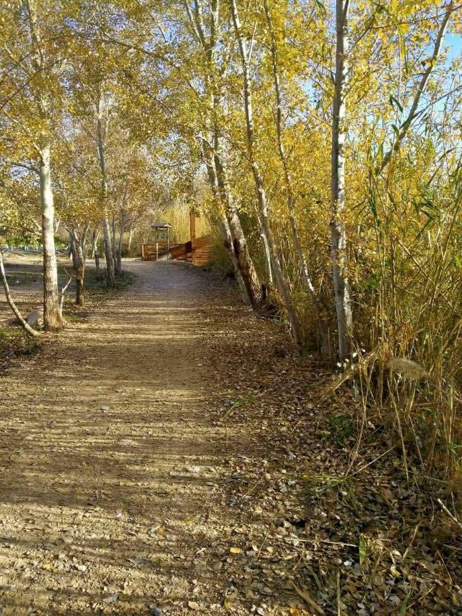 Apartamento En Puerta Valle Ricote Y Archena Διαμέρισμα Villanueva de Río Segura Εξωτερικό φωτογραφία